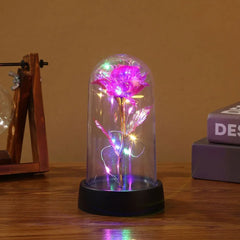 Valentines Day Gift for Girlfriend Eternal Rose LED