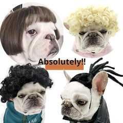 Pet Wigs Dog Wigs Supplies Halloween