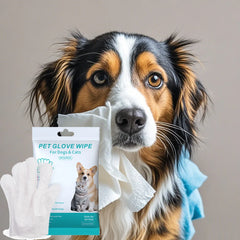 Pet supplies disposable gloves, bathing and cleaning