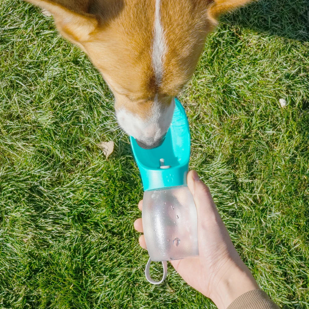 300ml Pet Dog Water Bottle For Small Large