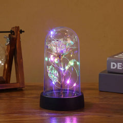 Valentines Day Gift for Girlfriend Eternal Rose LED