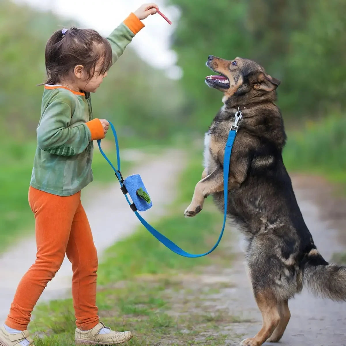Carrier Dog Walking Accessories  Cleaning Supplies