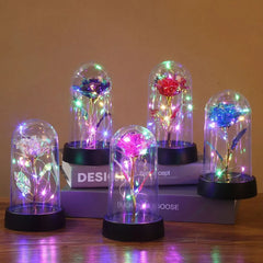 Valentines Day Gift for Girlfriend Eternal Rose LED