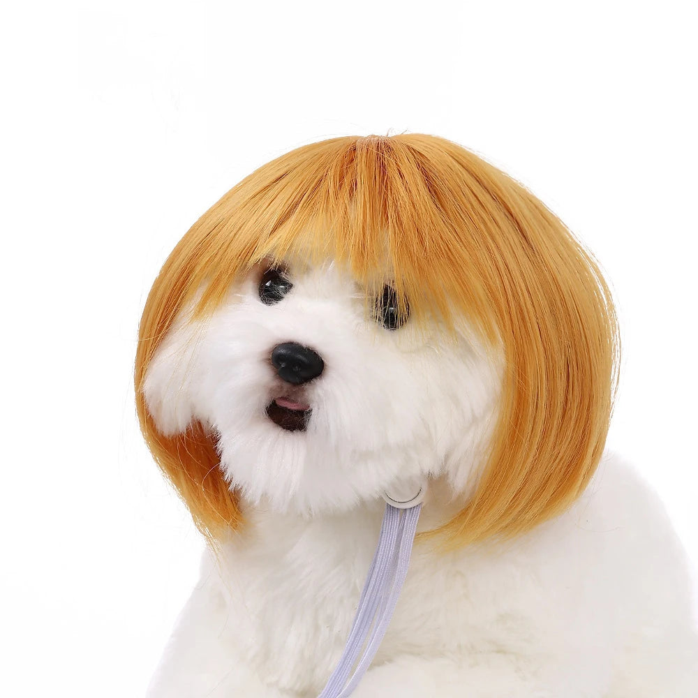 Pet Wigs Dog Wigs Supplies Halloween