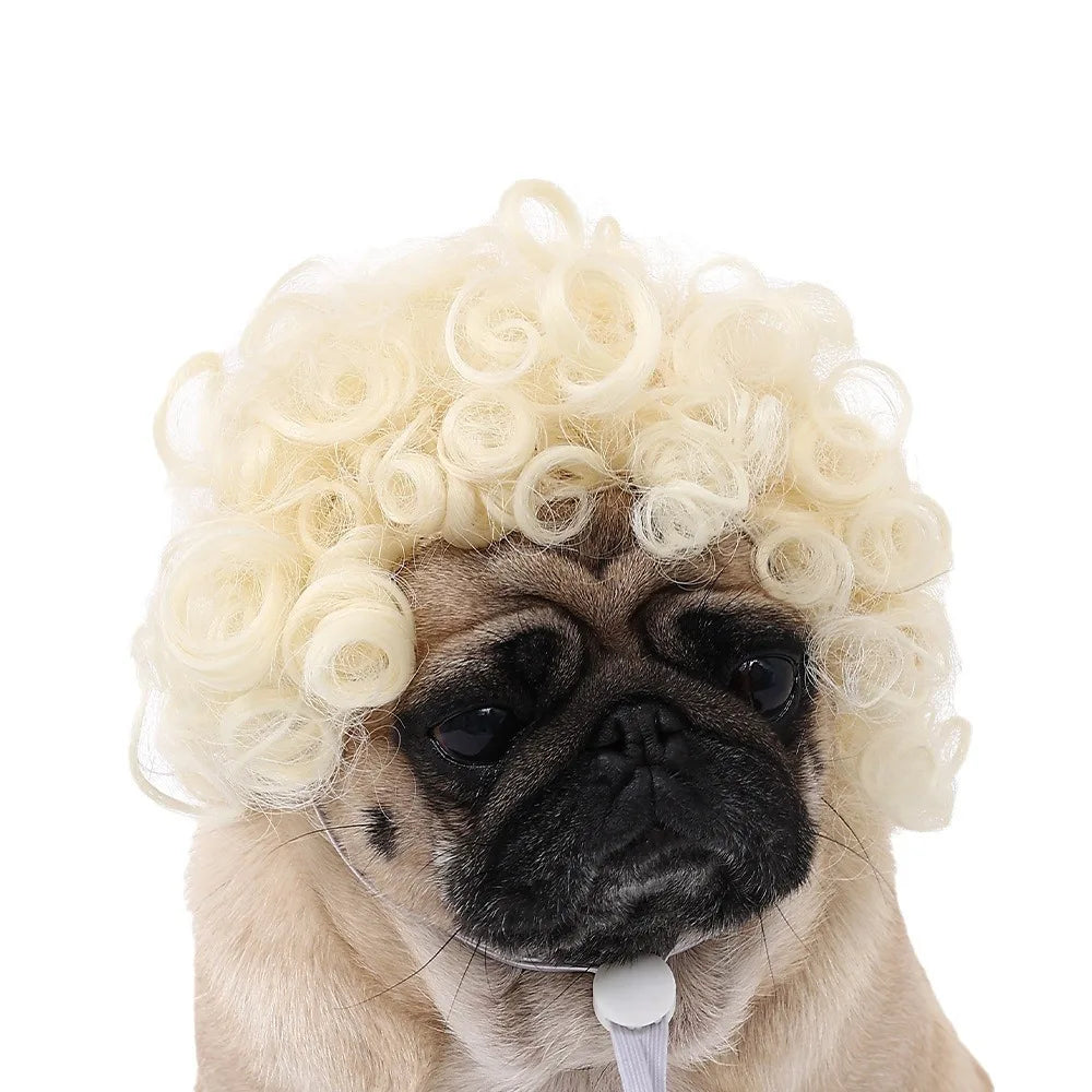 Pet Wigs Dog Wigs Supplies Halloween