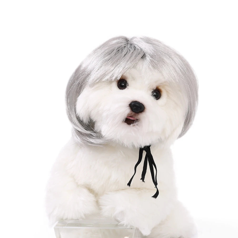 Pet Wigs Dog Wigs Supplies Halloween