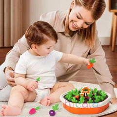 Pull Carrot Set Counting Discouvery Toys For Kids Learning